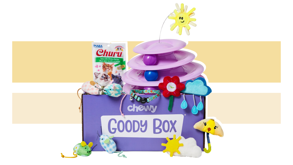 Mother's Day gifts for cat moms: goody box