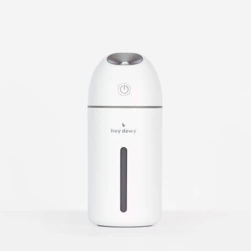 17) Hey Dewy Wireless, Rechargeable Humidifier