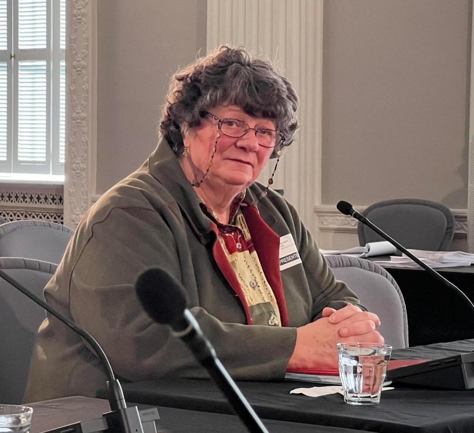 Anne-Marie Long urged the Houston government not to push ahead with Bill 407 until an independent study on the pros and cons of a merger can be completed and then the issue put to a plebiscite.