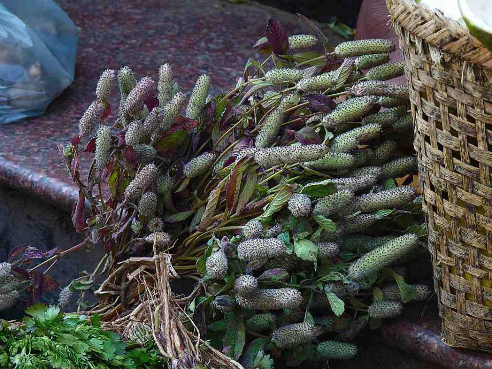 Edible herbs on sale in Ima Market in Imphal.