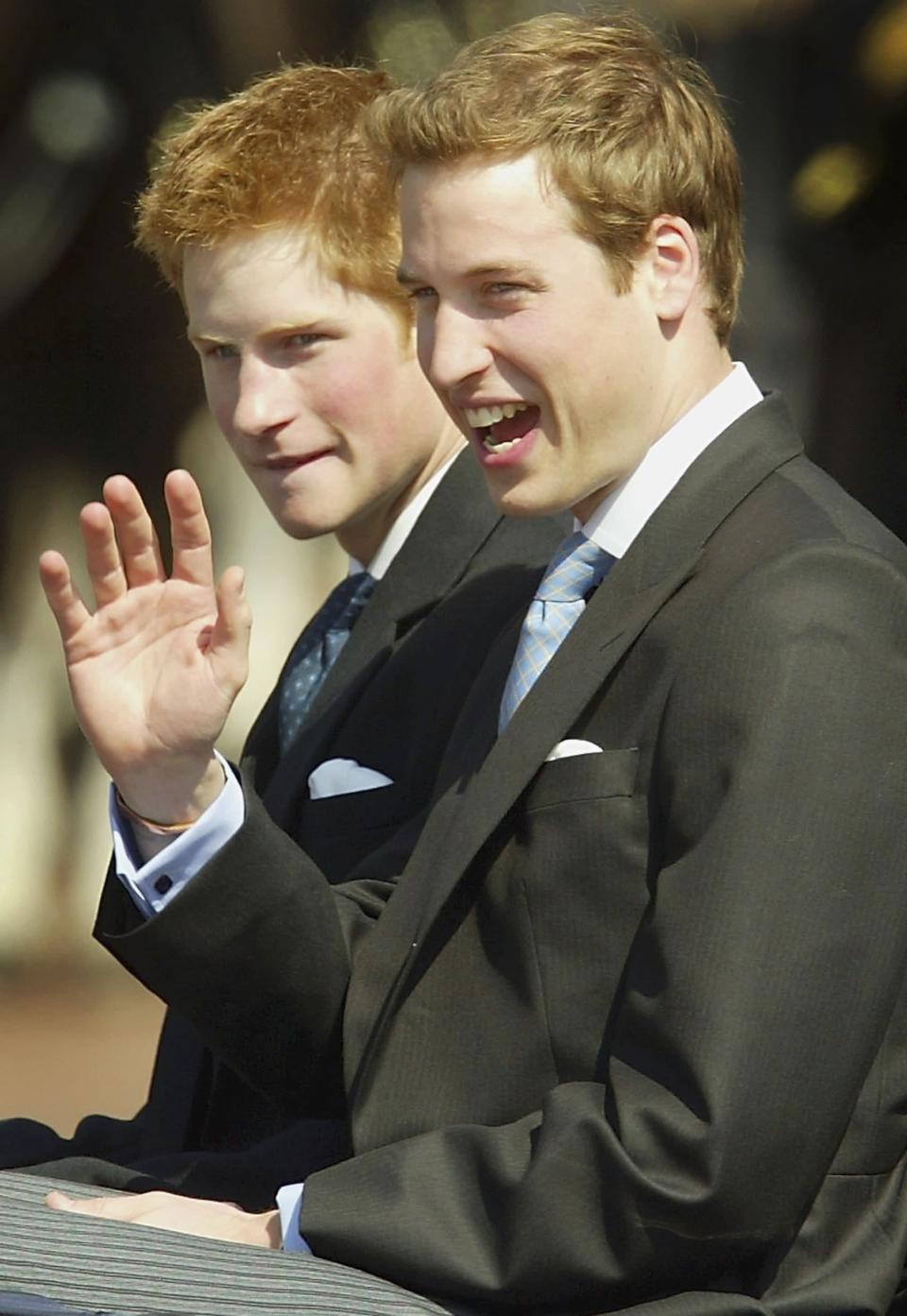 <p>Pictured: Prince Harry and Prince William.</p>