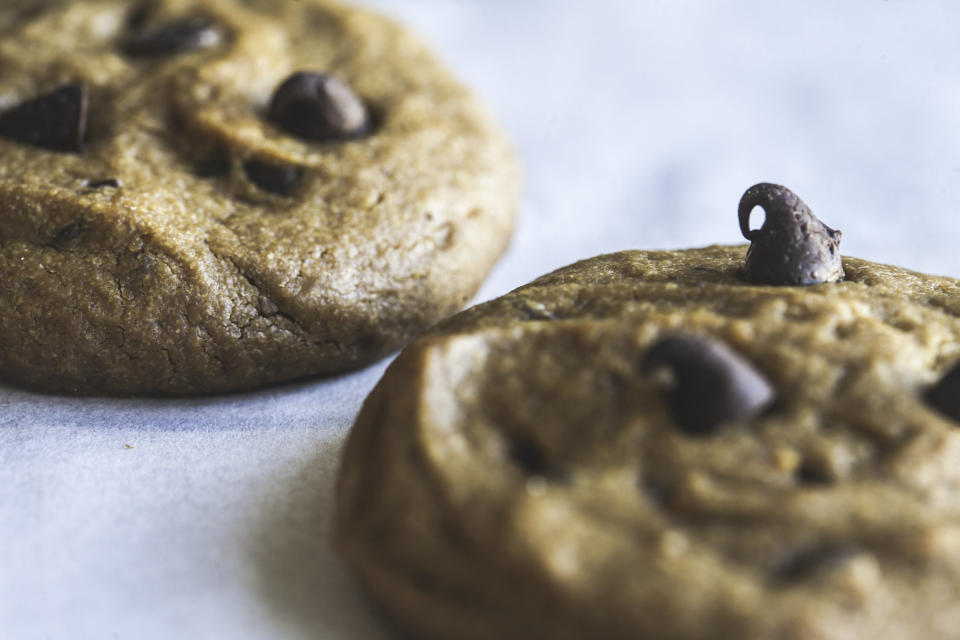 Chocolate chip cookies fresh from the oven