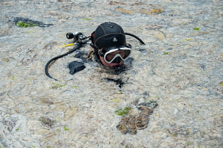 El buzo Mehtap Akbas Ciftci nada a lo largo de la costa de Caddebostan en el mar de Mármara, en Turquía, para inspeccionar el mucílago, una capa gelatinosa de limo que se desarrolla en la superficie del agua debido a la excesiva proliferación de fitoplancton, que amenaza gravemente al bioma marino