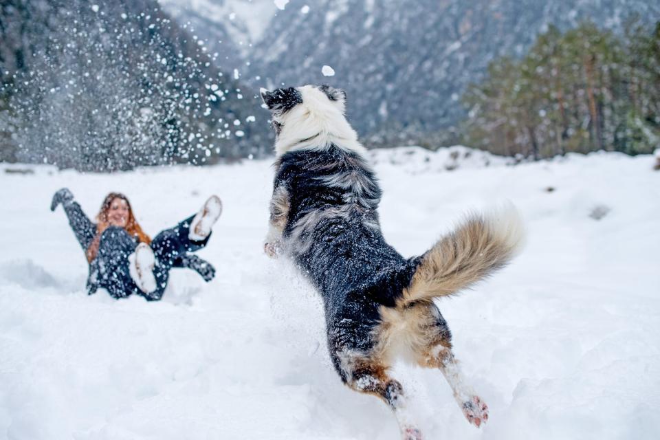 woman playing in the snow with her dog
