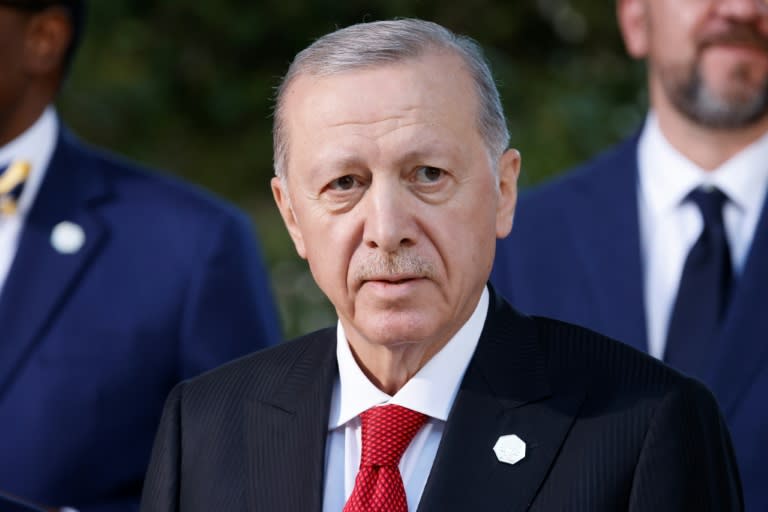 Turkey's President Recep Tayyip Erdogan will attend his country's Euro 2024 quarter-final against the Netherlands (Ludovic MARIN)
