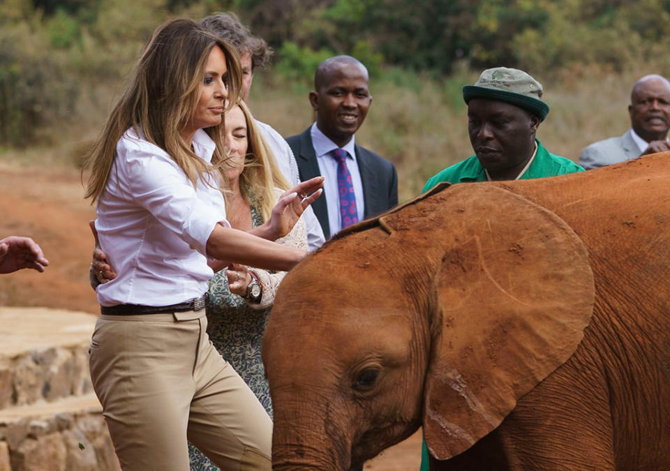 En un refugio para animales en Kenia, un pequeño elefante le dio un empujon y un susto a Melania Trump, sin que el asunto pasara a más. (Archivo Yahoo)