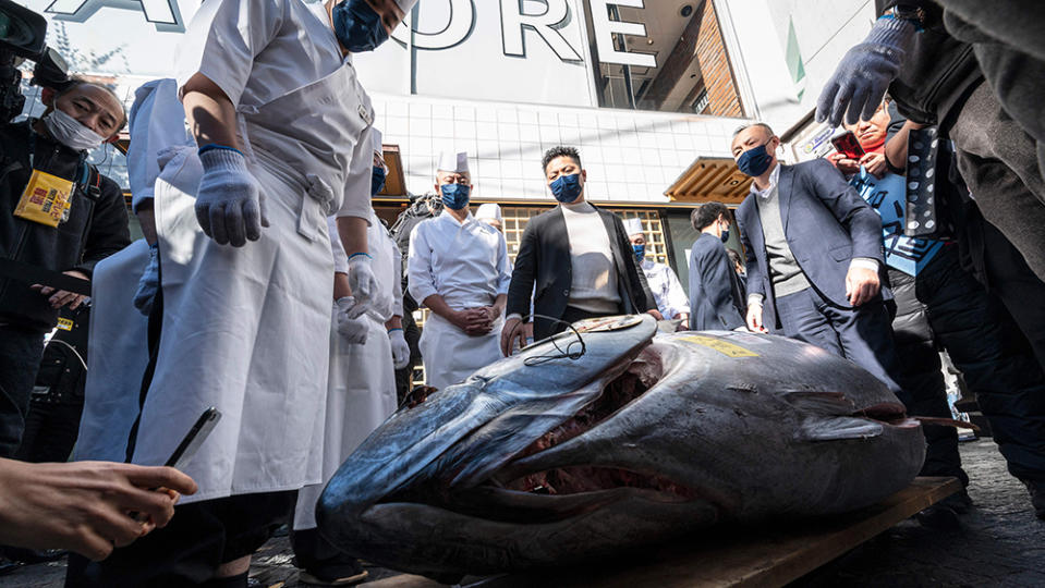 Sushi chefs look at a bluefin tuna - which was purchased earlier in the day for over 270,000 USD at the first tuna auction of the New Year - after it was unloaded outside the Sushi Ginza Onodera main store in Omotesando in Tokyo on January 5, 2023. - Michelin-starred sushi restaurant Onodera Group and Japanese wholesaler Yamayuki forked out 273,000 USD for the 212-kilo bluefin tuna in the auction at Tokyo's Toyosu fish market early morning on January 5. (Photo by Richard A. Brooks / AFP) (Photo by RICHARD A. BROOKS/AFP via Getty Images)