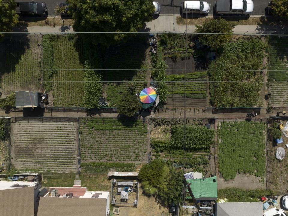 The Stanford Avalon Community Garden in Watts