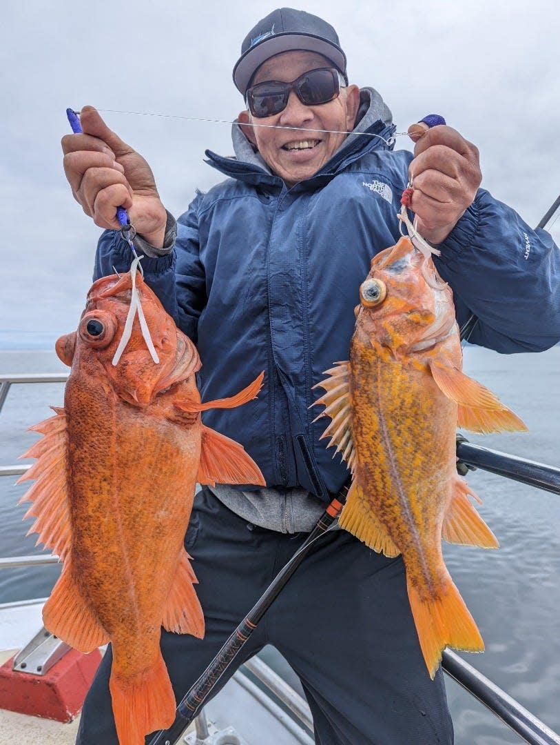 Big deep water rockfish like these are the reward for anglers fishing off Half Moon Bay aboard the Queen of Hearts sportfishing boat.