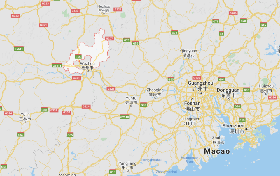 New: Cangwu County, in southern China, where 39 people were injured in a knife attack  (Google Map)