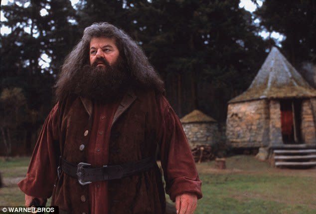 One of our favorite characters from the magical Harry Potter series. ﻿<a href="https://www.walmart.com/ip/Deluxe-Hagrid-Adult-Costume/304938694" target="_blank" rel="noopener noreferrer">Get the look</a>.