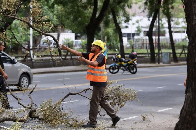 Remoción de ramas en Avenida Elcano, Chacarita. CABA

04/01/23
