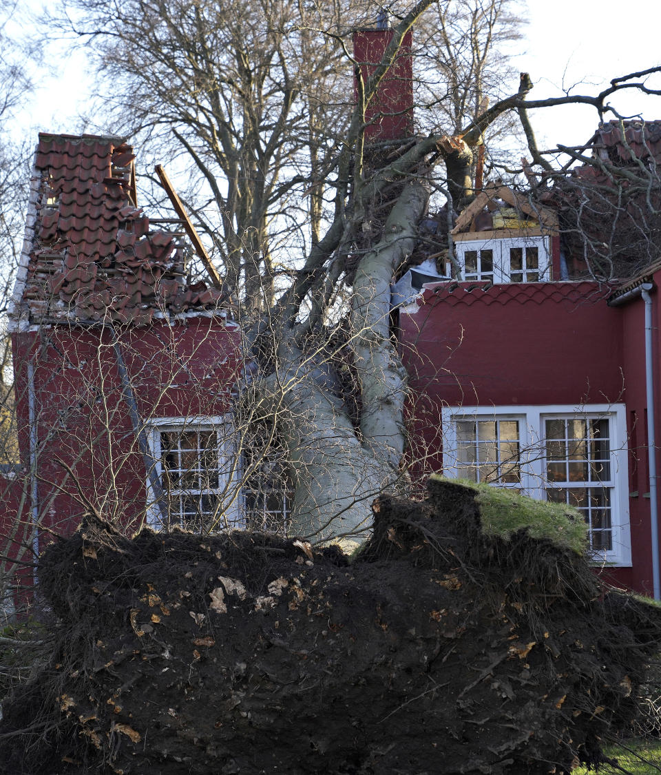 A house damaged by a fallen tree in Charlottenlund, north of Copenhagen, Denmark, Sunday Jan. 30, 2022, after a large winter storm caused havoc in Scandinavia with tens of thousands of people without electricity, trees uprooted and bridges closed. (Keld Navntoft/Ritzau Scanpix via AP)