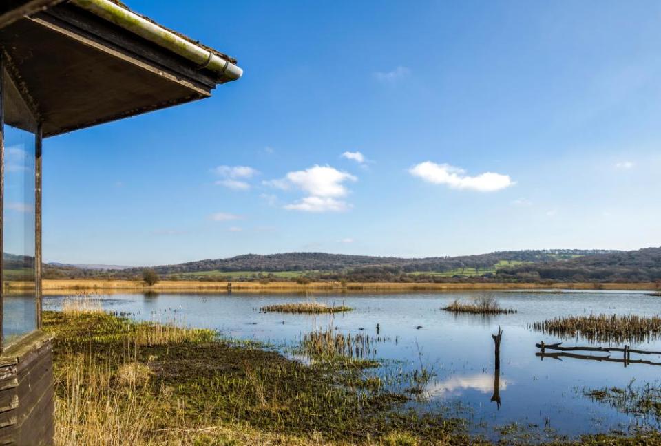 Bird hide, Leighton Moss RSPB