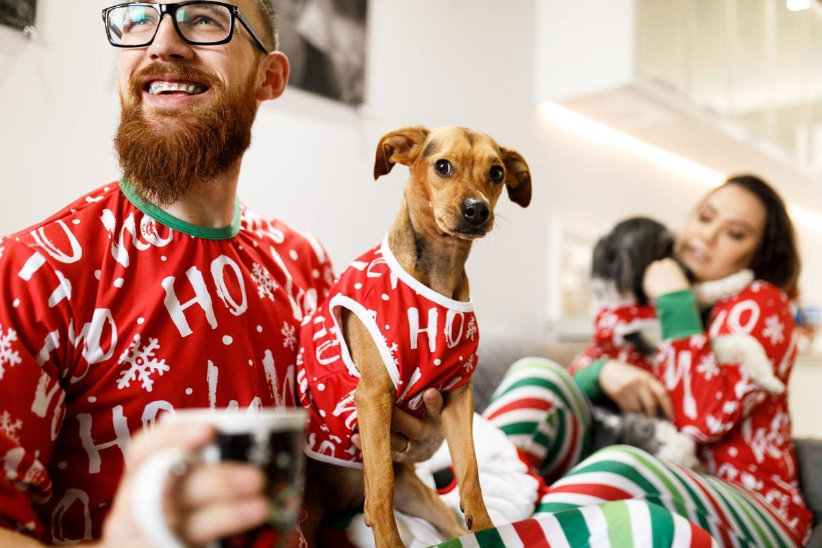 Matching Dog and Owner Sweaters Human Christmas Pajamas Pjs For Family Pet  Sets With Set Outfits Clothes Dogs Paws Mom Women Bandana Humans Doggy