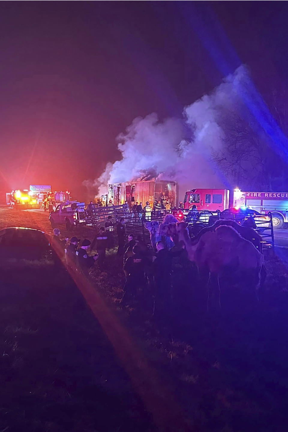 In this photo provided by Grant County Sheriff's Office, animals are rescued by emergency responders after a truck fire near Marion, Ind., early Saturday, Jan. 27, 202. A truck hauling zebras and camels for a series of weekend circus performances caught fire early Saturday on the northeastern Indiana highway, prompting a police rescue of the animals. Sgt. Steven Glass with Indiana State Police says the tractor-trailer caught fire about 2 a.m. along Interstate 69 in Grant County about 60 miles northeast of Indianapolis. (Grant County Sheriff's Office via AP)