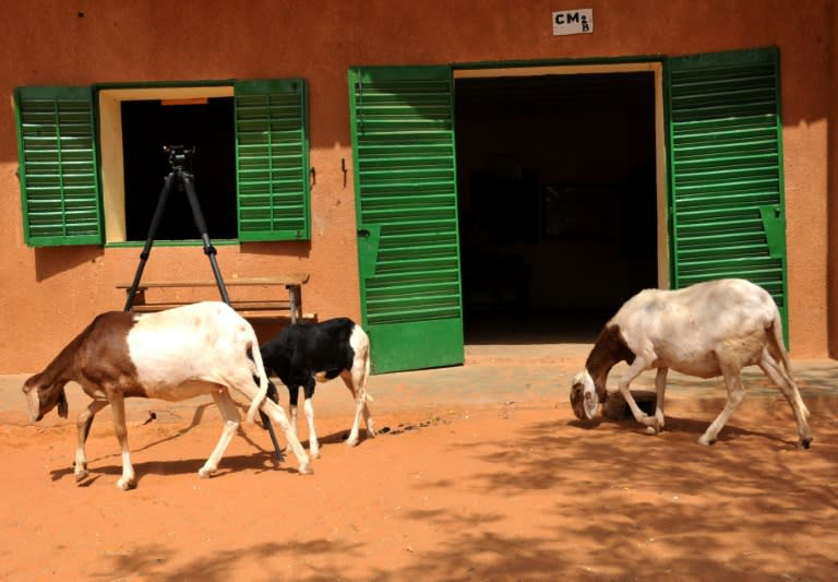 Toro's oxen and sheep died because of a lack of water and grass