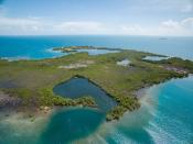 Esta isla de algo más de 8.000 metros cuadrados se encuentra a unos 9 minutos en barco de la pequeña localidad costera de Placencia, al sureste de Belice, y está rodeada por hermosas rocas de coral y peces exóticos. Aquellos que estén interesados en comprarla deberán desembolsar 175.000 dólares. (Foto: <a href="http://www.privateislandsonline.com/islands/lark-caye" rel="nofollow noopener" target="_blank" data-ylk="slk:Private Islands Online;elm:context_link;itc:0;sec:content-canvas" class="link ">Private Islands Online</a>).