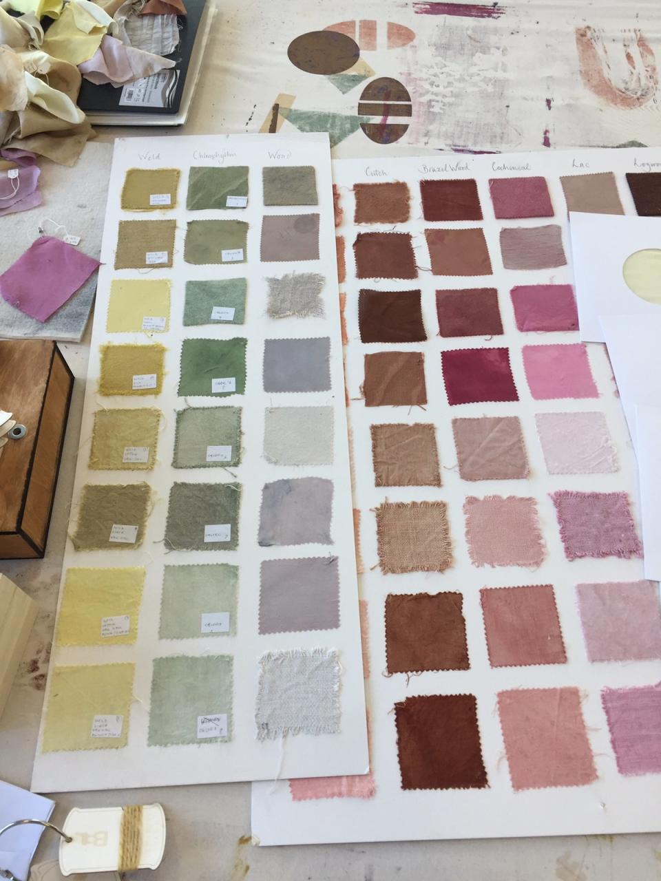 Natural dye swatches created by Kate Turnbull (Carry Somers)