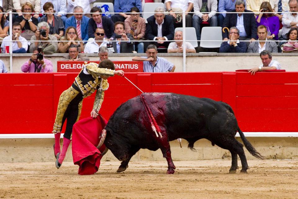 El torero Julián López Escobar, El Juli, da la estocada final a un toro en septiembre de 2011, poco antes de la prohibición de las corridas de toros en Cataluña el 1 de enero de 2012. <a href="https://www.shutterstock.com/es/image-photo/barcelona-september-24-famous-torero-julian-102875750" rel="nofollow noopener" target="_blank" data-ylk="slk:Shutterstock / Natursports;elm:context_link;itc:0;sec:content-canvas" class="link ">Shutterstock / Natursports</a>
