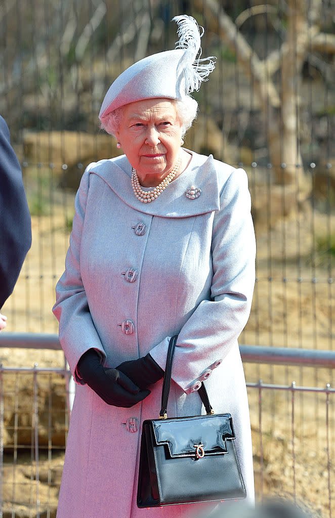 Opening the London Zoo’s Land of Lions enclosure. (Photo by Karwai Tang/WireImage)