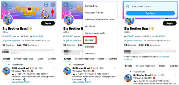 <em>Acessando o perfil oficeial do Big Brother Brasil, você pode silenciar e evitar ver conteúdo relacionado ao reality show (Imagem: Rodrigo Folter/Captura de tela)</em>