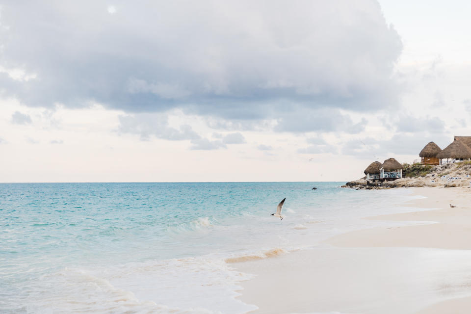 A seagull flies along Cayo Largo's untouched oceanfront, with a view of beachfront villas in the background