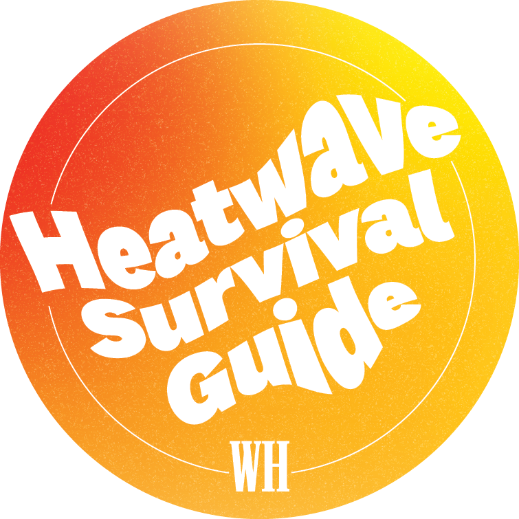 heatwave survival guide