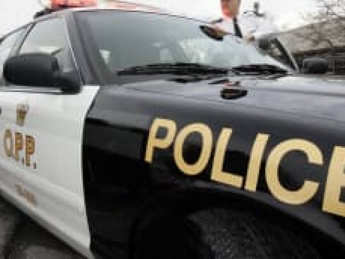 Essex OPP are investigating after a youth allegedly shot others with an airsoft gun at an Optimist Club dance on Friday. (Canadian Press - image credit)