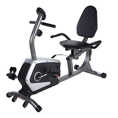 6) Sunny Health & Fitness Magnetic Recumbent Exercise Bike