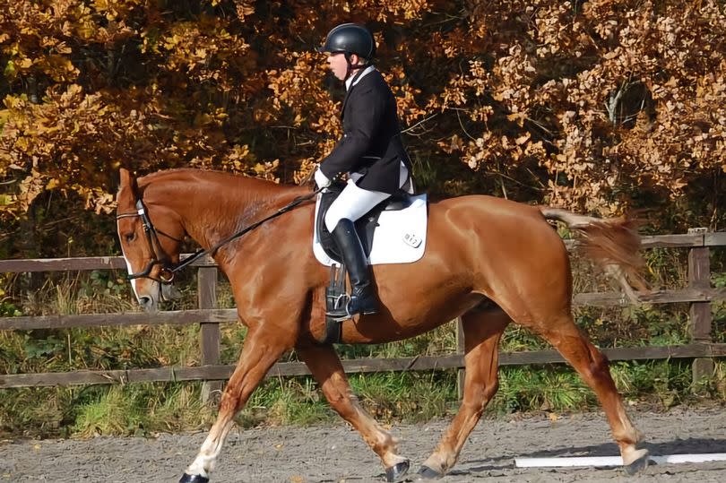 Para dressage rider Ed Chanin and his up and coming young horse, Frankie, will be performing across all three days of the 2024 Devon County Show