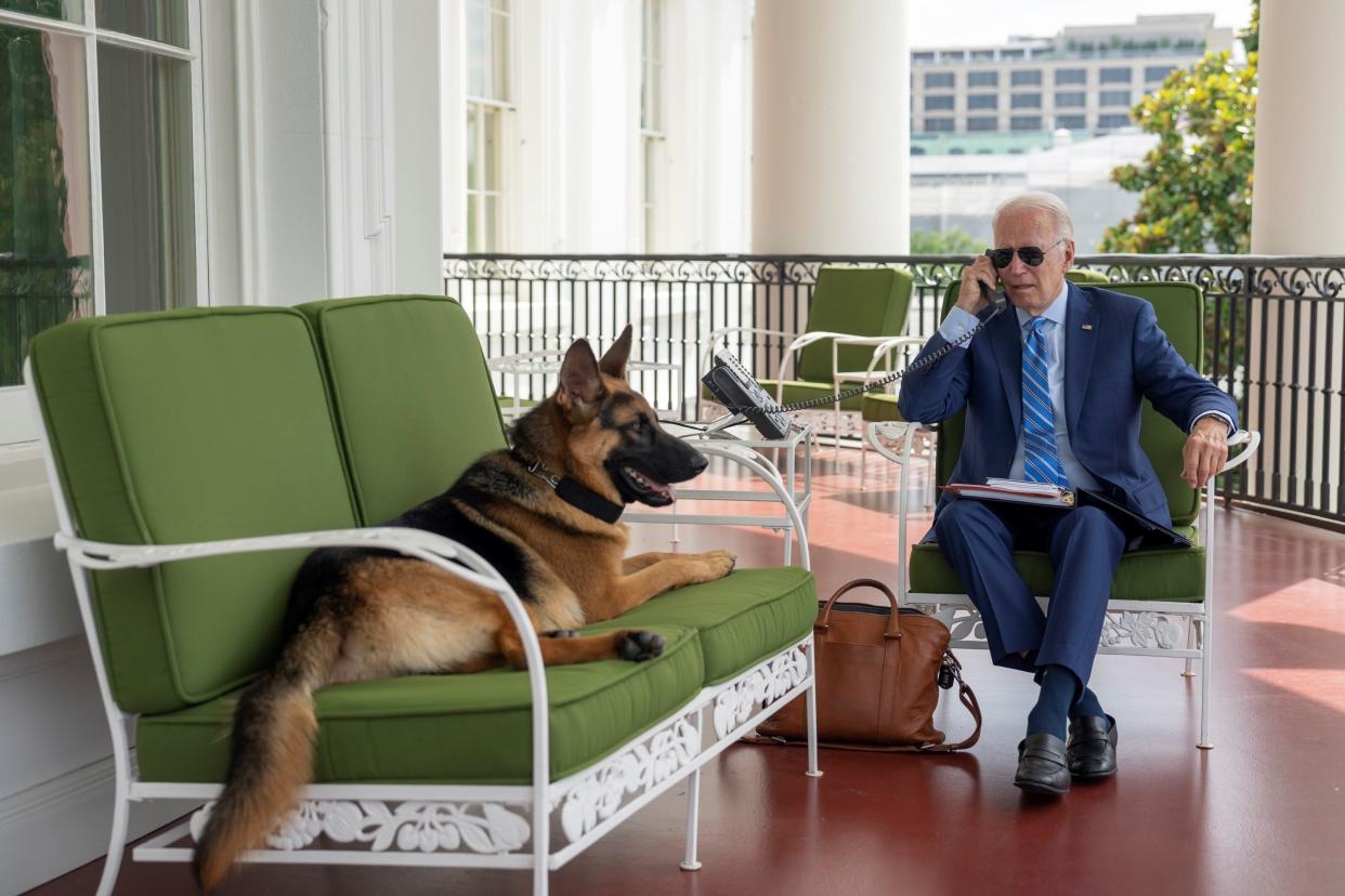 President Joe Biden works at the White House while recovering from COVID-19. His dog Commander sits on a bench next to him.