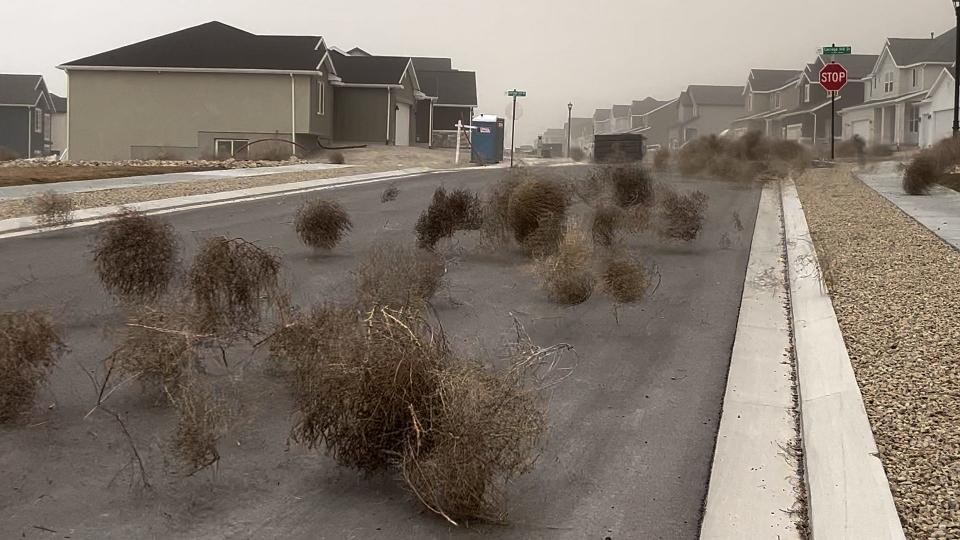 Tumbleweeds overwhelm a Utah town.
