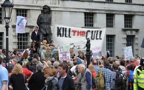 Expansion of the culling programme has been opposed by animal rights organisations - Credit: John Stillwell/ PA