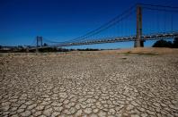 FILE PHOTO: Cracked and dry earth is seen in the wide riverbed of the Loire River in Ancenis-Saint-Gereon