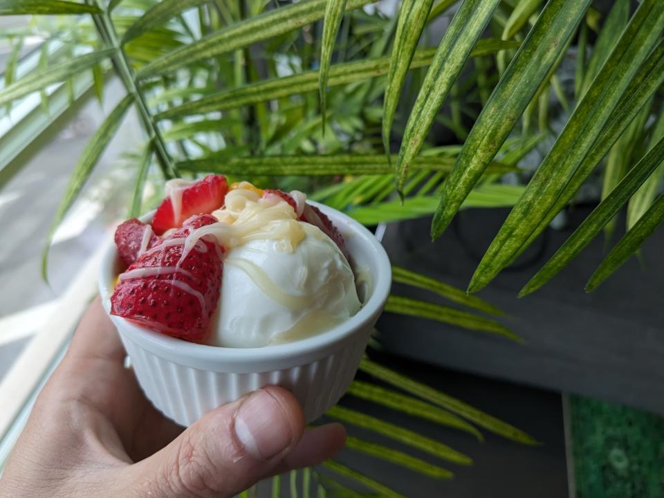 <p>This was supposed to be an attempt at making shaved ice, but it turned into a very smooth light ice cream.</p> 