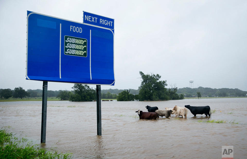 Flood waters