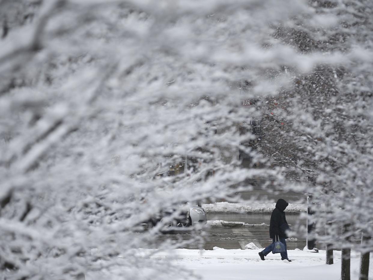 Fewer scenes like these frost-covered trees in Chicago are happening across much of the US: Jim Young/Reuters