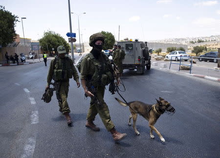 Israeli soldiers walk with a dog next to an Israeli checkpoint near the West Bank town of Bethlehem, after a stabbing attack June 29, 2015.REUTERS/Ronen Zvulun