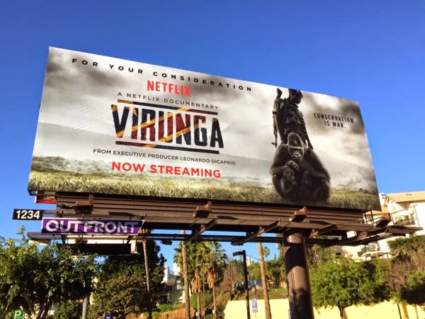 Virunga netflix documentary billboard