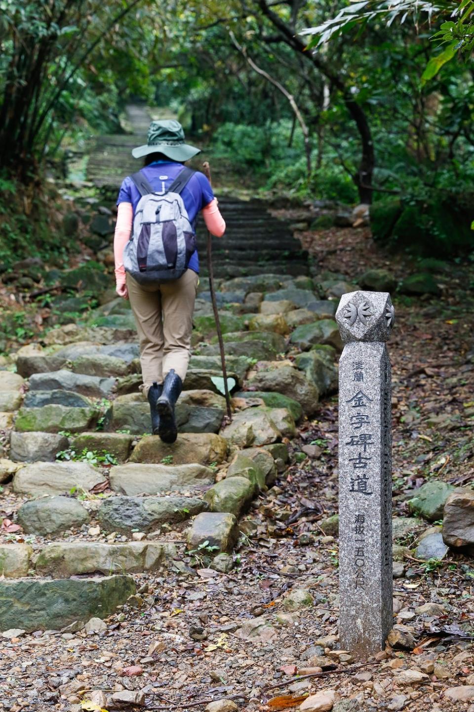 金字碑古道鬱鬱蔥蔥飽含芬多精。   圖：新北市觀旅局提供