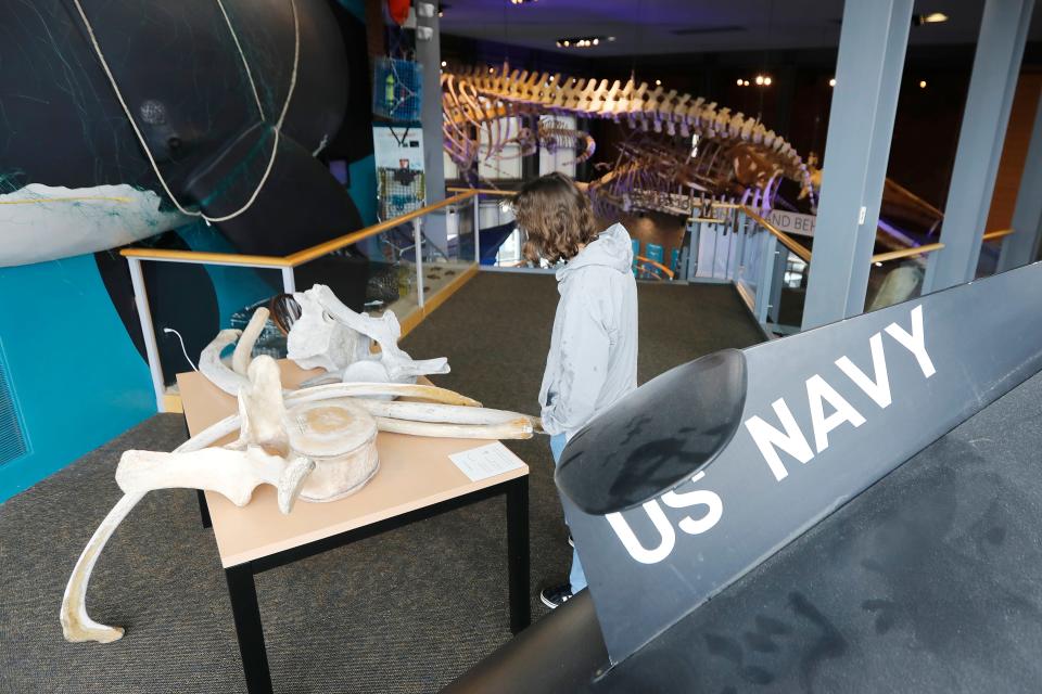 A young man looks at some whale bones on the second level of the Whaling Museum in downtown New Bedford, next to a model of a U.S. Navy unmanned underwarter vehicle.