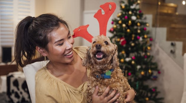 4 Affordable Gifts to Get For Your Pet This Holiday Season