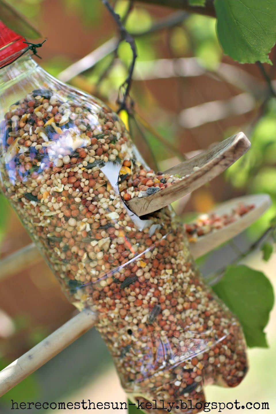 Soda Bottle Bird Feeder