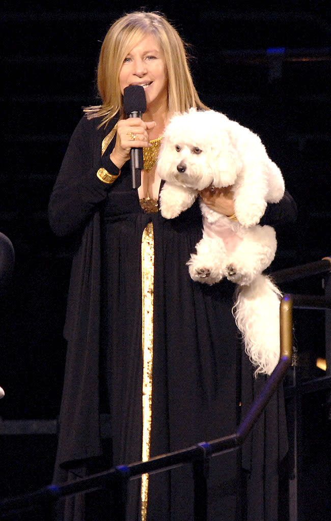 Barbra Streisand and dog Sammie