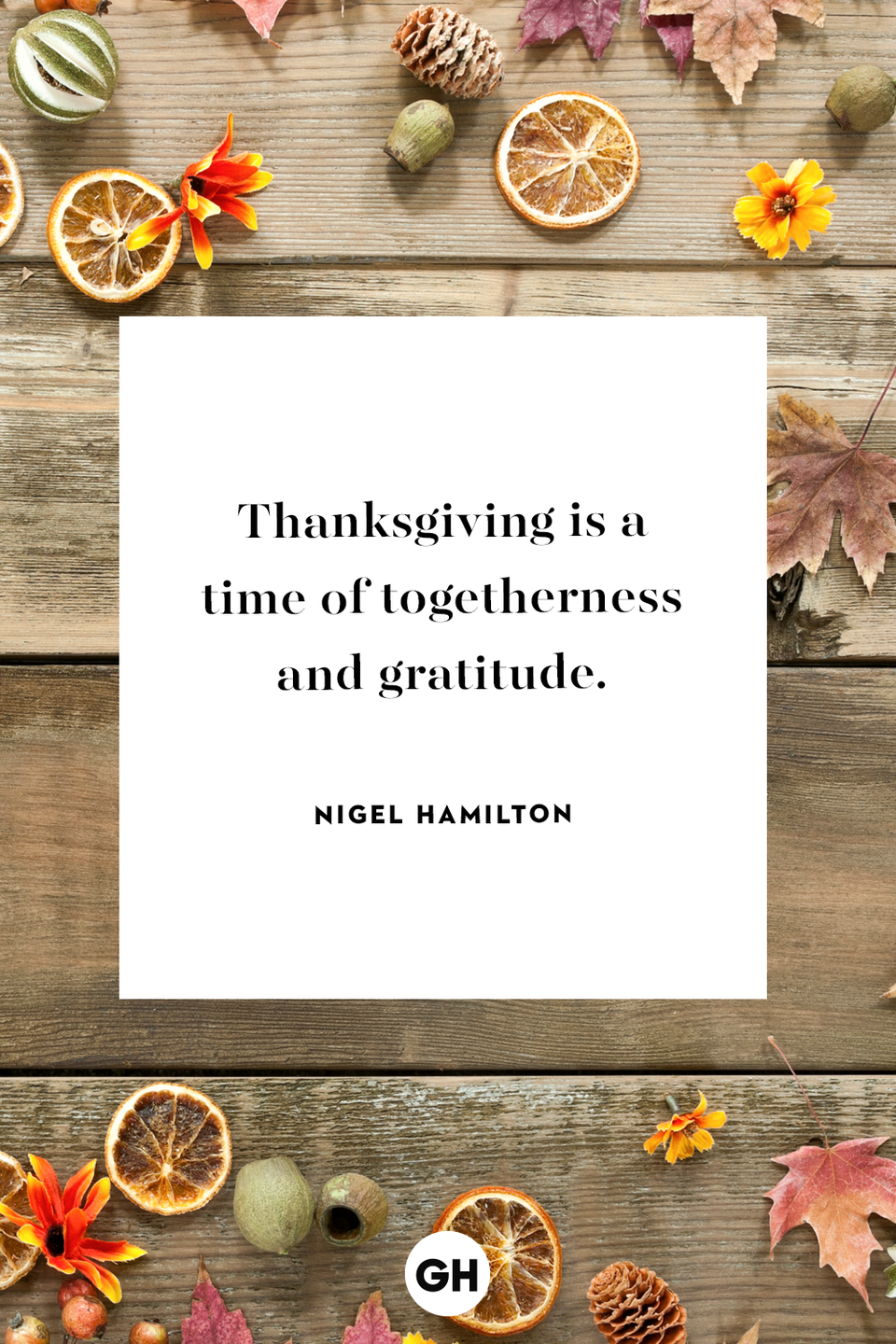 <p>Thanksgiving is a time of togetherness and gratitude.</p>