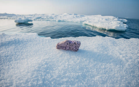 Scientists are now checking the area of microplastics