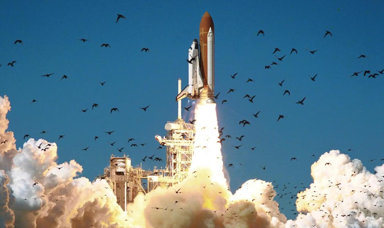  A space shuttle launches into a blue sky filled with birds. 
