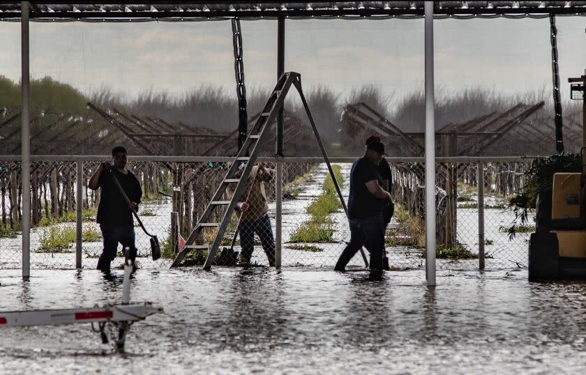 PORTERVILLE, CA - MARCH 15, 2023: Workers clear storm drains in hopes flood waters will recede near orchards off Avenue 216 after Tuesday night's heavy rains on March 15, 2023 in Porterville, California. (Gina Ferazzi / Los Angeles Times)