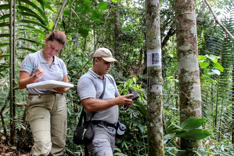 Cristina Tingle and Carlos Valderrama of WebConserva Foundation check a camera trap installed in a field in San Lucas